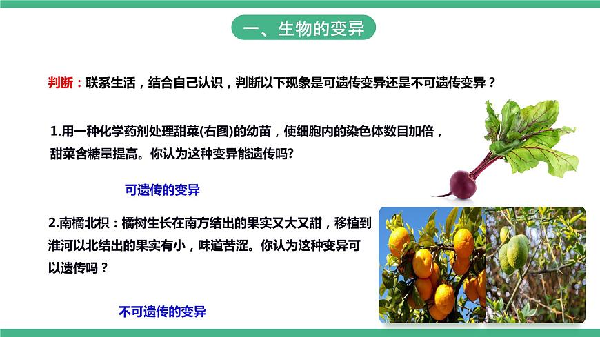 人教版生物八年級下冊 7.2.5《生物的變異》課件+視頻第8頁