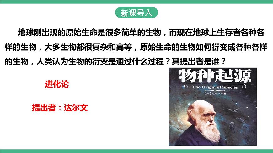 人教版生物八年級(jí)下冊(cè) 7.3.2《生物進(jìn)化的歷程》課件+視頻第2頁(yè)