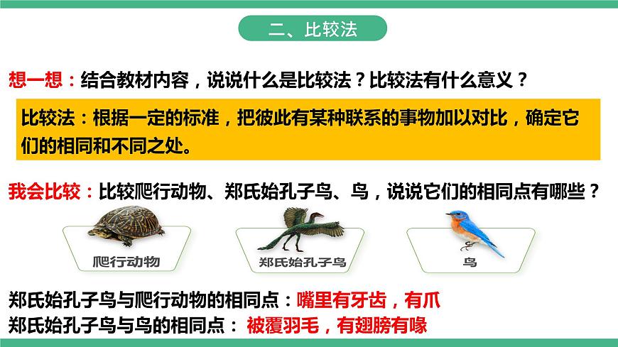 人教版生物八年級(jí)下冊(cè) 7.3.2《生物進(jìn)化的歷程》課件+視頻第5頁(yè)