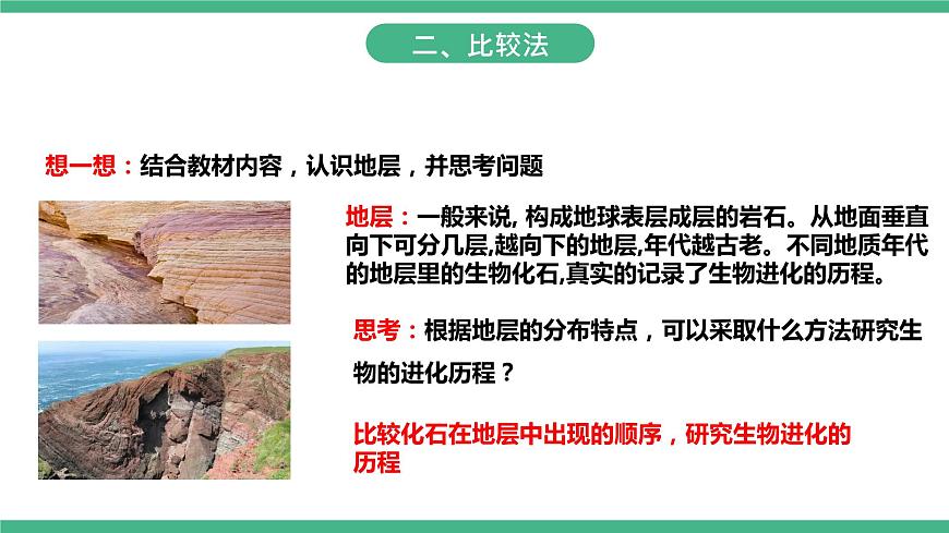 人教版生物八年級(jí)下冊(cè) 7.3.2《生物進(jìn)化的歷程》課件+視頻第6頁(yè)