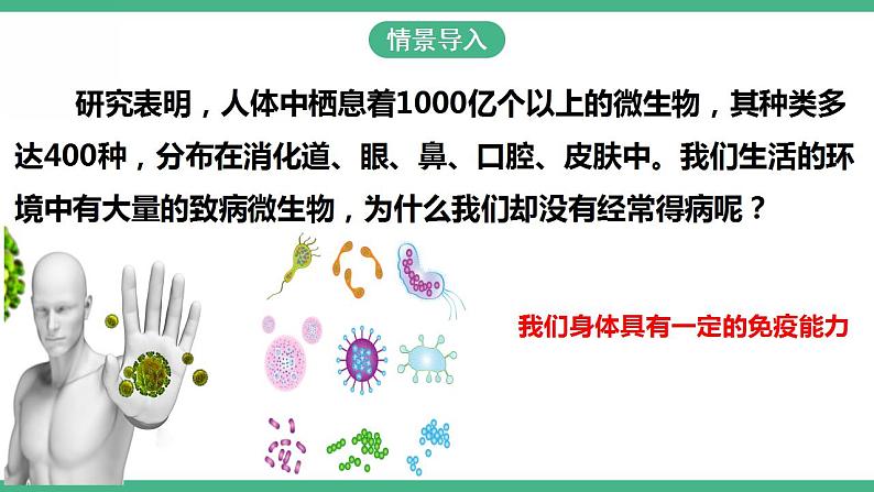 人教版生物八年级下册8.1.2《免疫与计划免疫》(第1课时)课件视频第2页