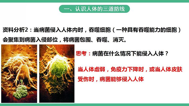 人教版生物八年级下册8.1.2《免疫与计划免疫》(第1课时)课件视频第4页