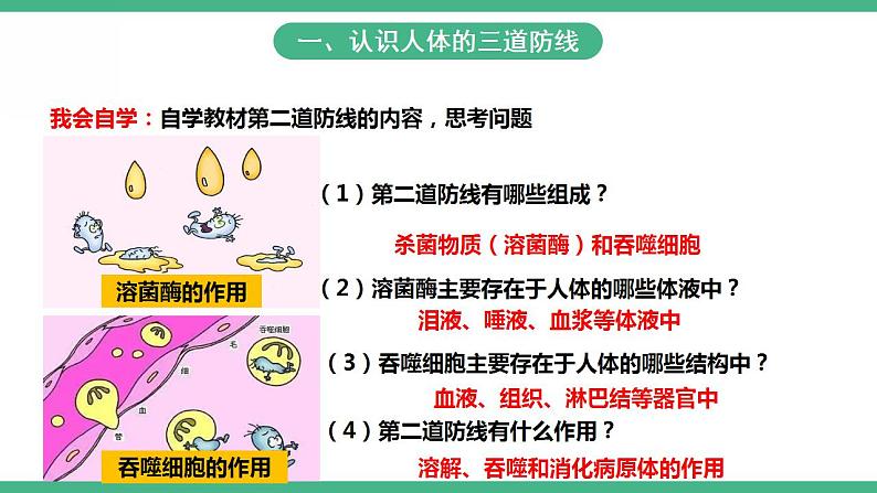 人教版生物八年级下册8.1.2《免疫与计划免疫》(第1课时)课件视频第7页