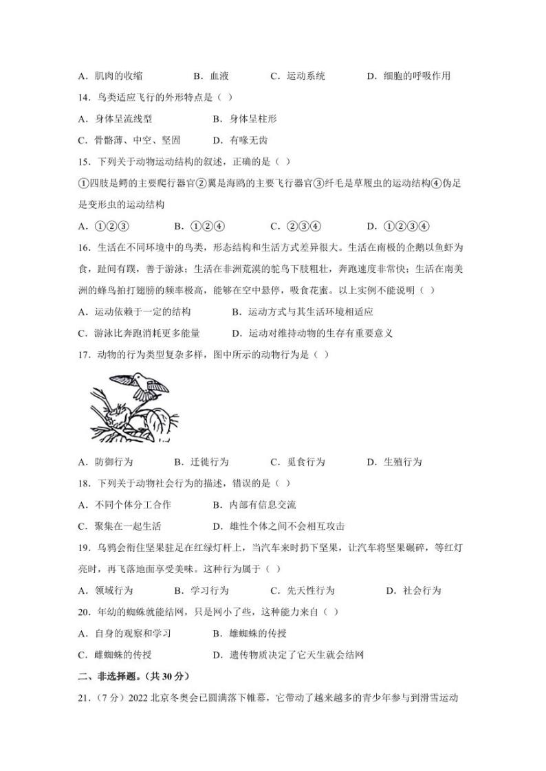 河南省洛阳市偃师市2023-2024学年八年级上学期12月月考生物模拟试题（含答案）03