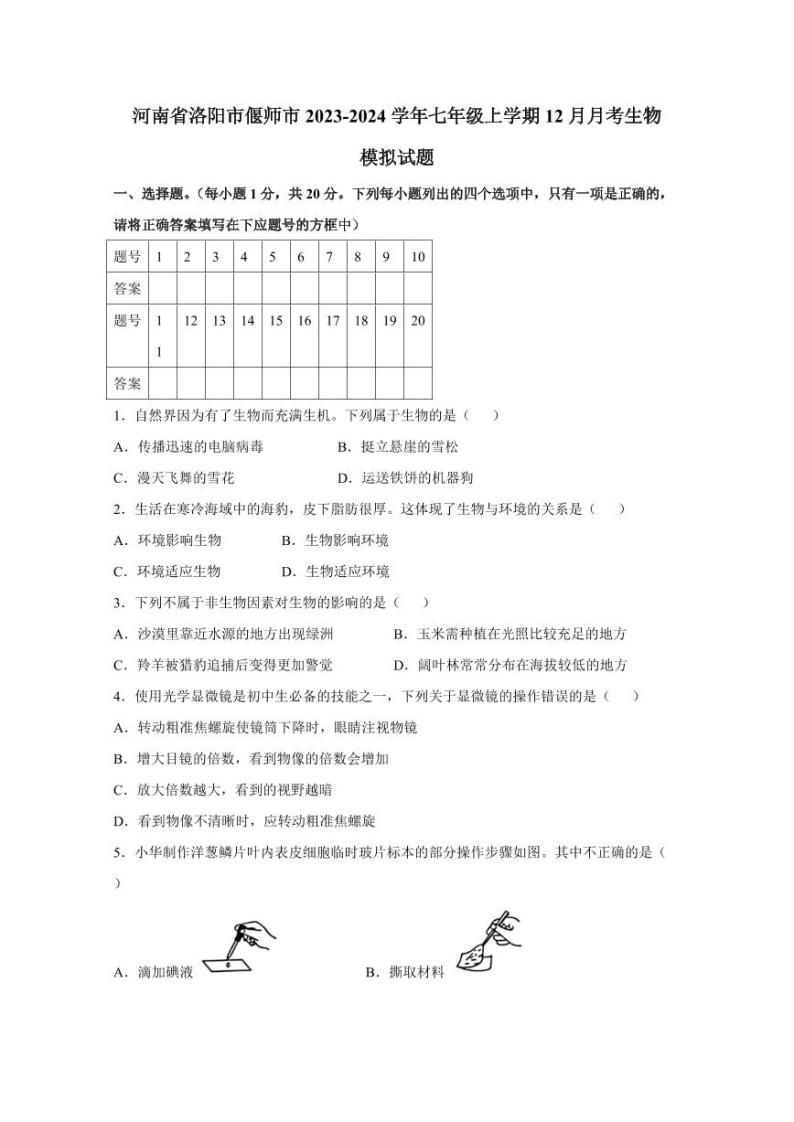 河南省洛阳市偃师市2023-2024学年七年级上学期12月月考生物模拟试题（含答案）01