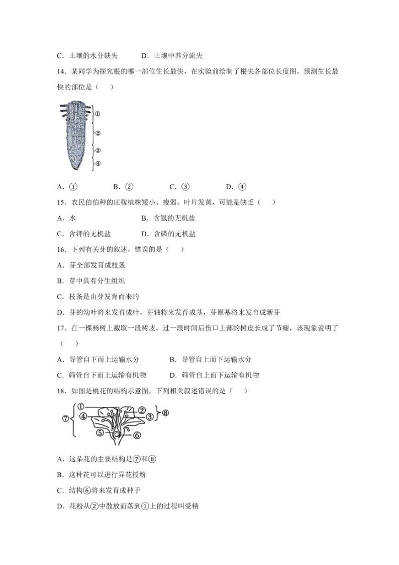 河南省洛阳市偃师市2023-2024学年七年级上学期12月月考生物模拟试题（含答案）03