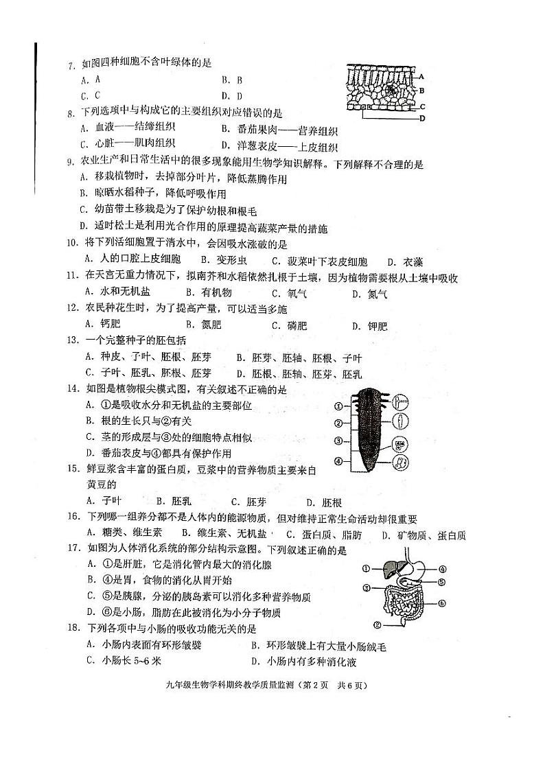 广东省普宁市2023-2024学年九年级上学期期末教学质量监测生物科试题卷02