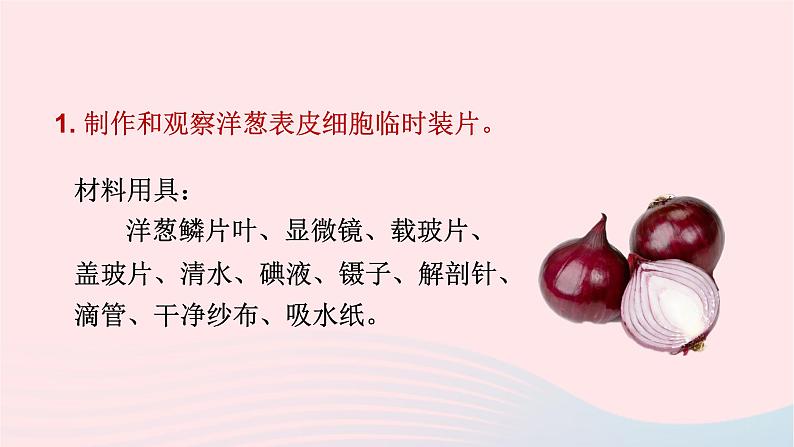 第2单元生物体的结构第3章细胞第1节细胞的基本结构和功能第2课时植物细胞动物细胞结构的比较课件(北师大版七上生物)第5页