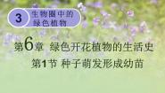 七年级上册第1节 种子萌发形成幼苗课文课件ppt