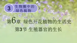 第3单元生物圈中的绿色植物第6章绿色开花植物的生活史第3节生殖器官的生长课件（北师大版七上生物）