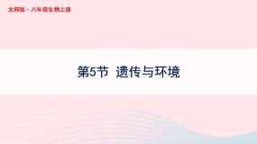 第6单元生命的延续第20章生物的遗传和变异第5节遗传与环境课件（北师大版八上生物）
