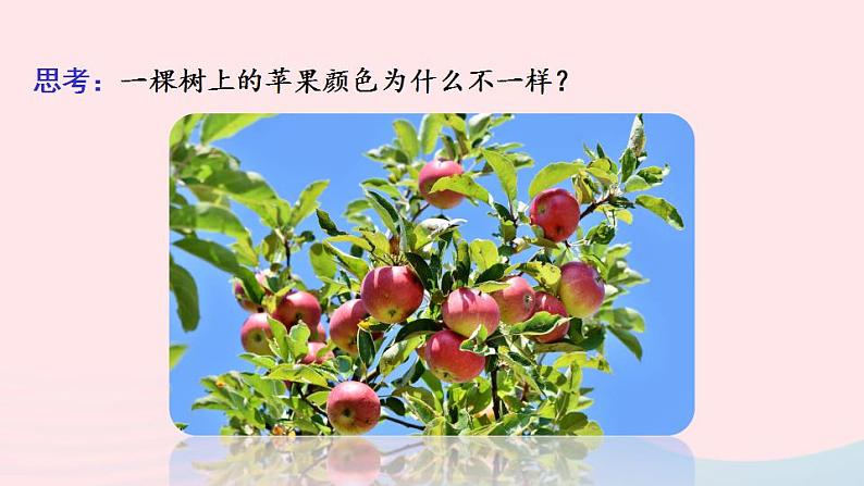 第6单元生命的延续第20章生物的遗传和变异第5节遗传与环境课件(北师大版八上生物)第3页