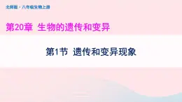 第6单元生命的延续第20章生物的遗传和变异第1节遗传和变异现象課件（北师大版八上生物）