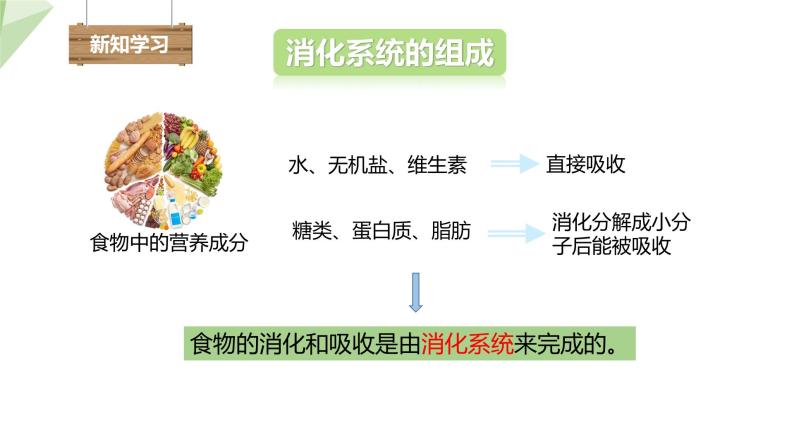 3.1.2 消化和吸收 课件2023-2024学年初中生物济南版七年级下册04