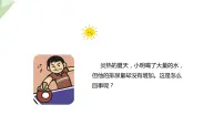 初中第二节 汗液的形成和排出教学ppt课件