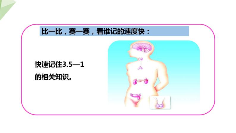 3.5.1 人体的激素调节 课件2023-2024学年初中生物济南版七年级下册06