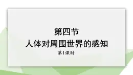 3.5.4 人体对周围世界的感知 第1课时 课件2023-2024学年初中生物济南版七年级下册