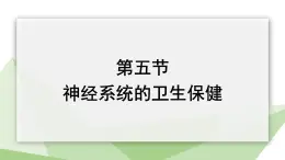 3.5.5 神经系统的卫生保健 课件2023-2024学年初中生物济南版七年级下册