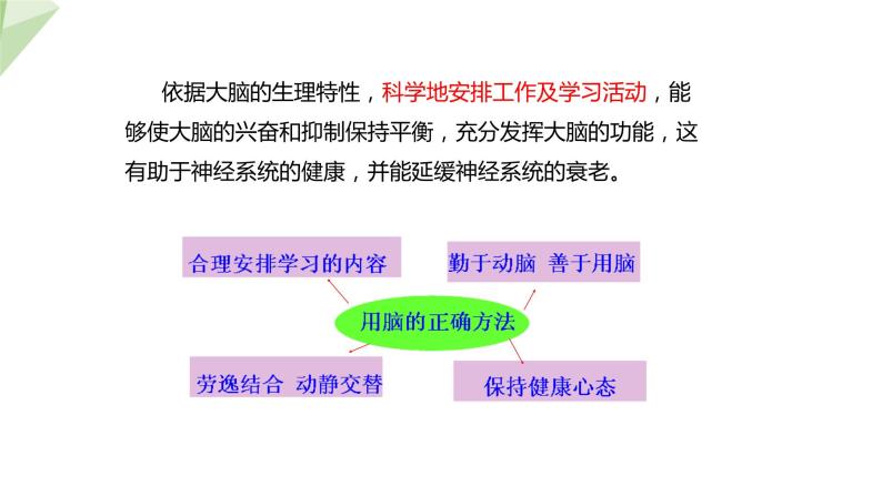 3.5.5 神经系统的卫生保健 课件2023-2024学年初中生物济南版七年级下册06