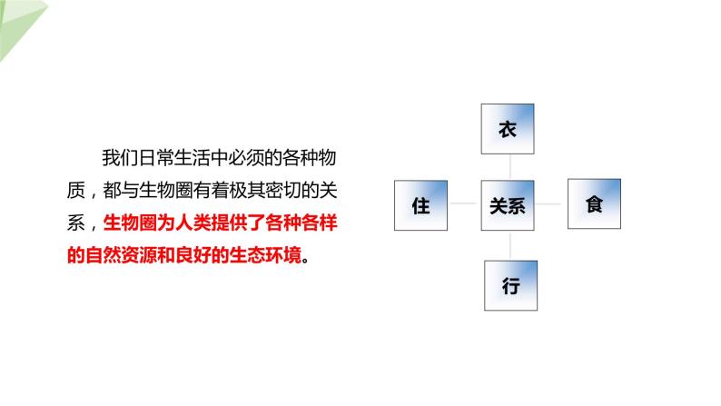 3.7.2 保护我们的家园 课件2023-2024学年初中生物济南版七年级下册05