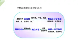 5.1.2 生物进化的证据  课件2023-2024学年初中生物济南版八年级下册