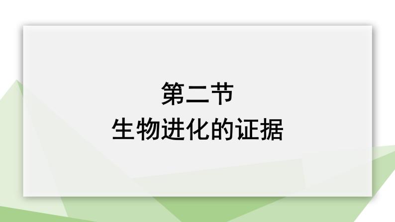 5.1.2 生物进化的证据  课件2023-2024学年初中生物济南版八年级下册02