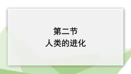 5.2.2 人类的进化  课件2023-2024学年初中生物济南版八年级下册