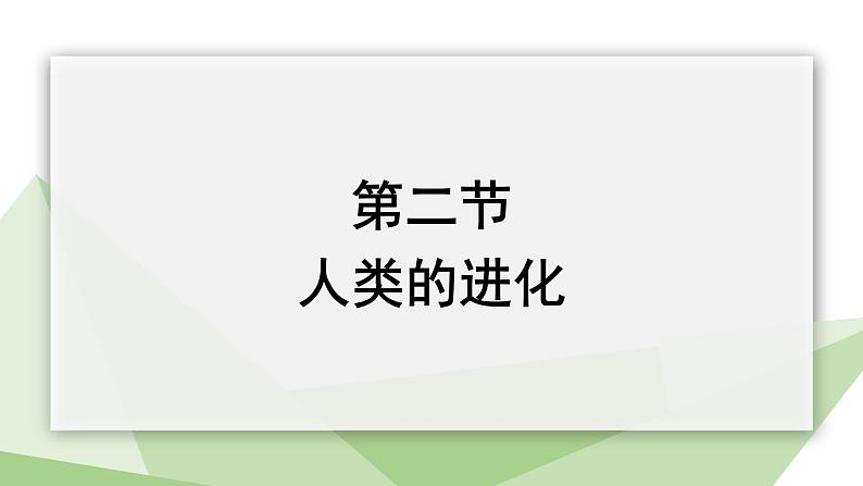 5.2.2 人类的进化 课件2023-2024学年初中生物济南版八年级下册01