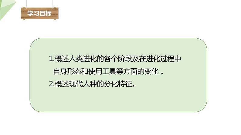 5.2.2 人类的进化 课件2023-2024学年初中生物济南版八年级下册02