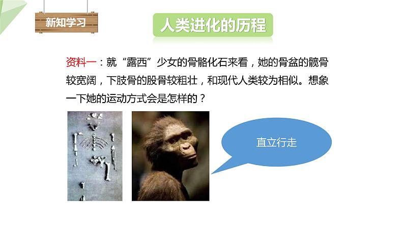 5.2.2 人类的进化 课件2023-2024学年初中生物济南版八年级下册03