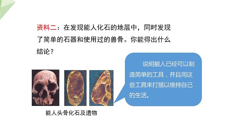 5.2.2 人类的进化 课件2023-2024学年初中生物济南版八年级下册04