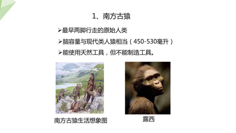 5.2.2 人类的进化  课件2023-2024学年初中生物济南版八年级下册07