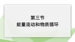 6.2.3 能量流动和物质循环 课件2023-2024学年初中生物济南版八年级下册