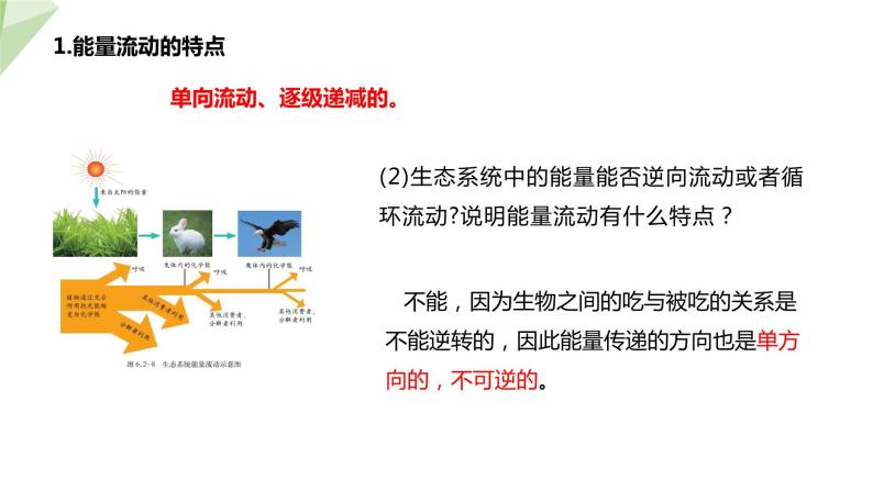 6.2.3 能量流动和物质循环 课件2023-2024学年初中生物济南版八年级下册06