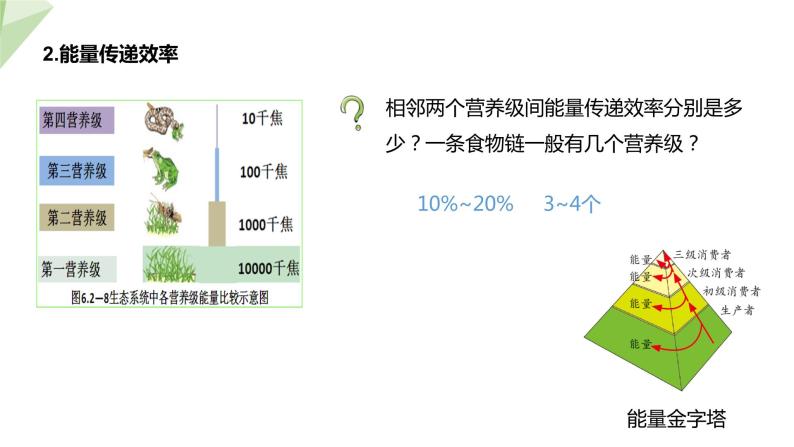 6.2.3 能量流动和物质循环 课件2023-2024学年初中生物济南版八年级下册08