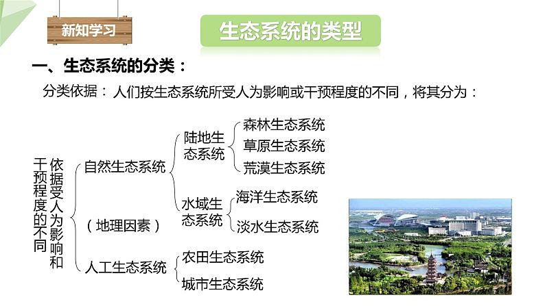 6.2.4 生态系统的类型 课件2023-2024学年初中生物济南版八年级下册03