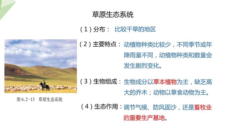 6.2.4 生态系统的类型 课件2023-2024学年初中生物济南版八年级下册06