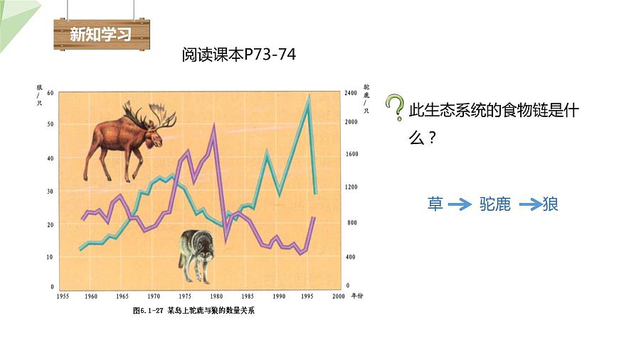 6.2.5 生態(tài)系統(tǒng)的自我調節(jié) 課件2023-2024學年初中生物濟南版八年級下冊第3頁