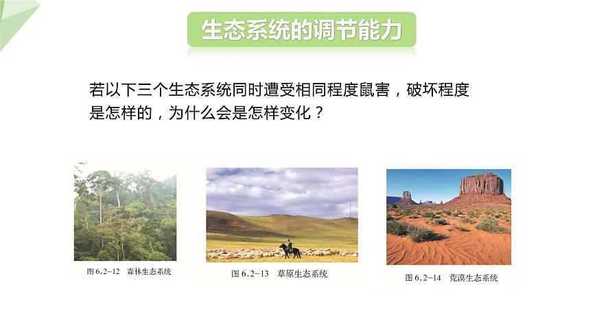 6.2.5 生態(tài)系統(tǒng)的自我調節(jié) 課件2023-2024學年初中生物濟南版八年級下冊第7頁