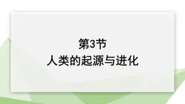 21.3 人类的起源与进化 课件 2023-2024学年初中生物北师版八年级下册