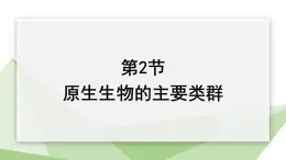 22.2 原生生物的主要类群 课件 2023-2024学年初中生物北师版八年级下册