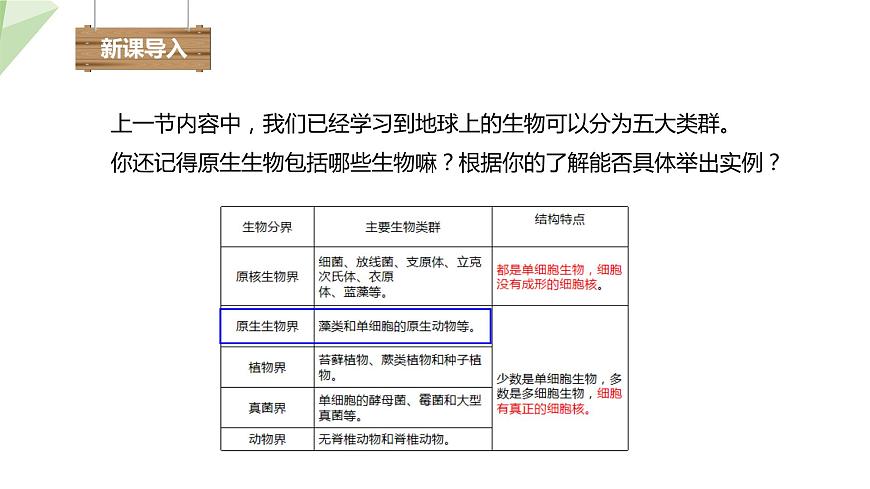 22.2 原生生物的主要類群 課件 2023-2024學(xué)年初中生物北師版八年級下冊第2頁