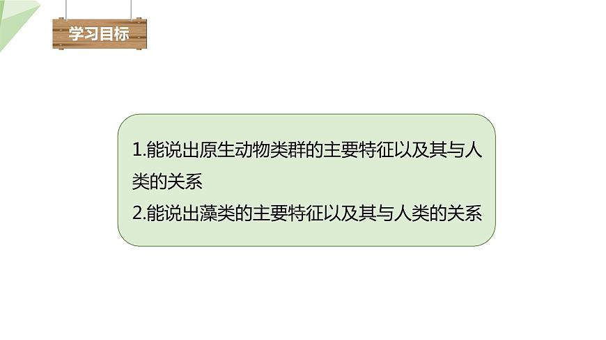 22.2 原生生物的主要類群 課件 2023-2024學(xué)年初中生物北師版八年級下冊第3頁