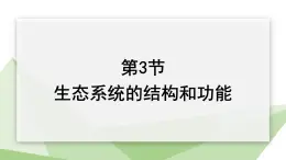 23.3 生态系统的结构和功能 课件 2023-2024学年初中生物北师版八年级下册