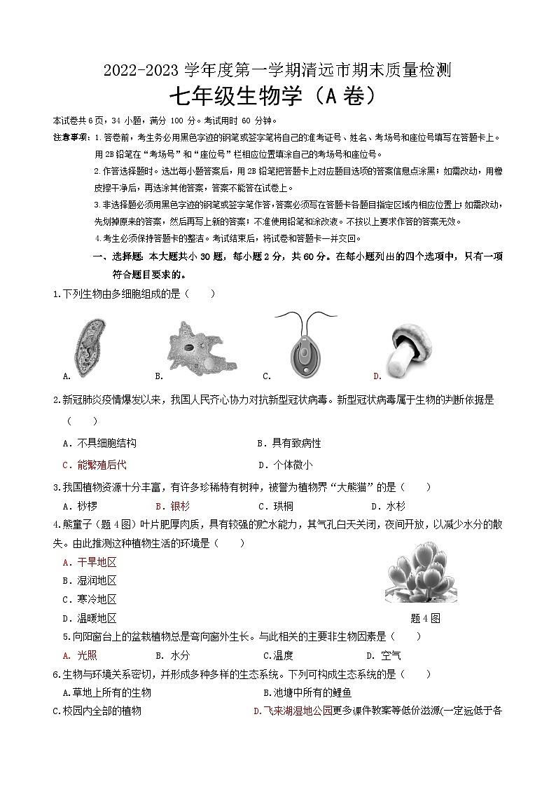 广东省清远市2022-2023学年七年级上学期期末考试生物试题01