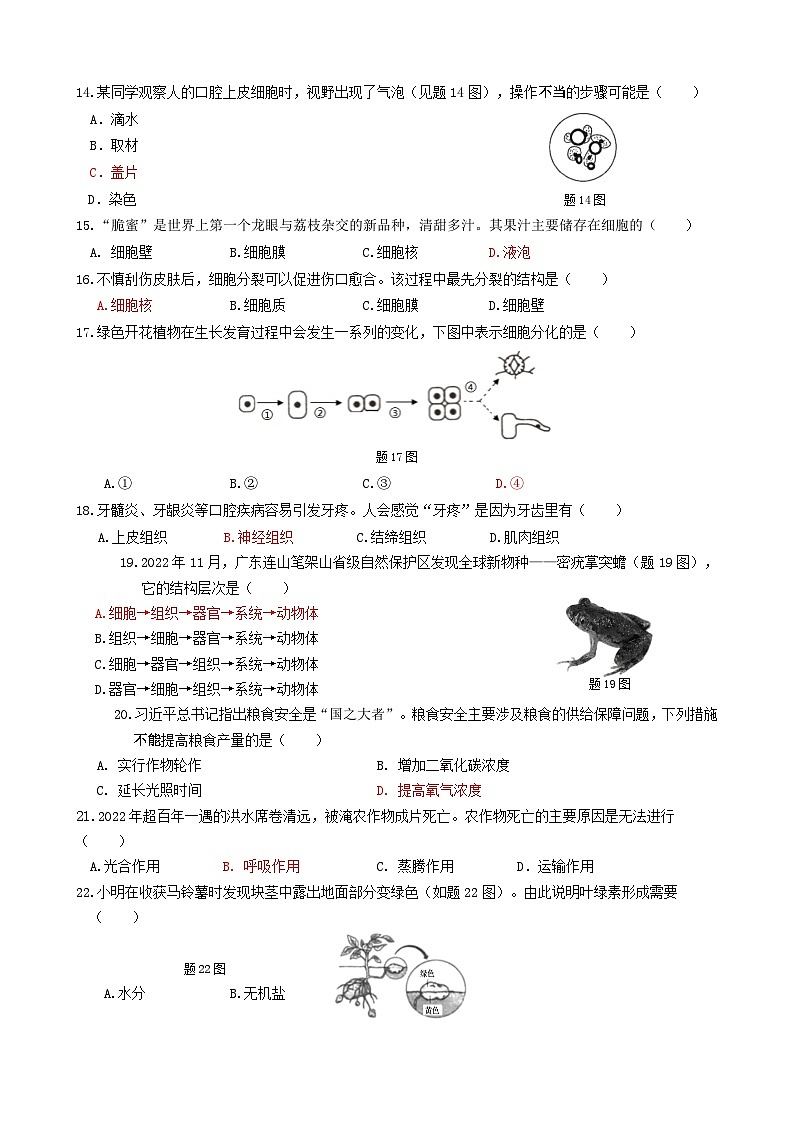 广东省清远市2022-2023学年七年级上学期期末考试生物试题03