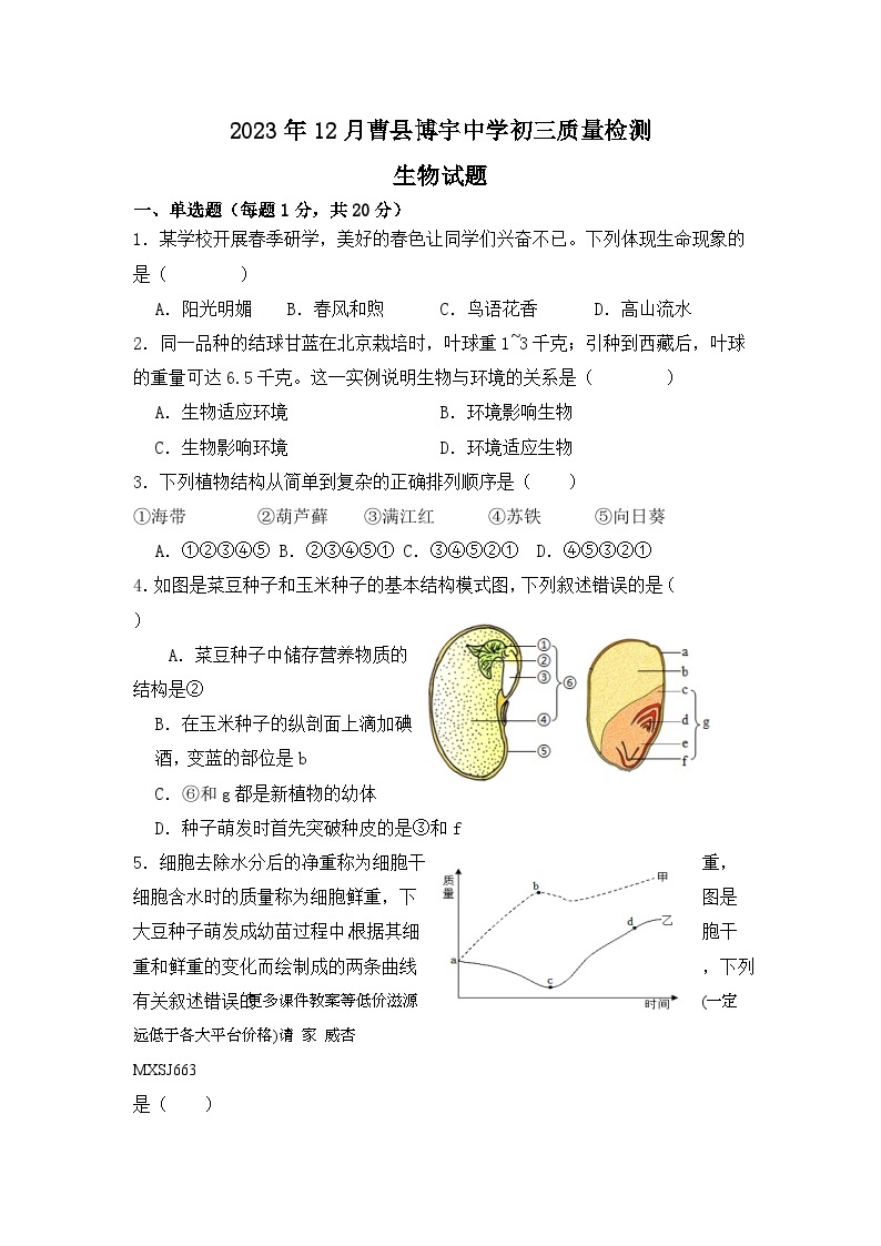 山东省菏泽市曹县曹县博宇中学2023-2024学年九年级上学期12月月考生物试题01