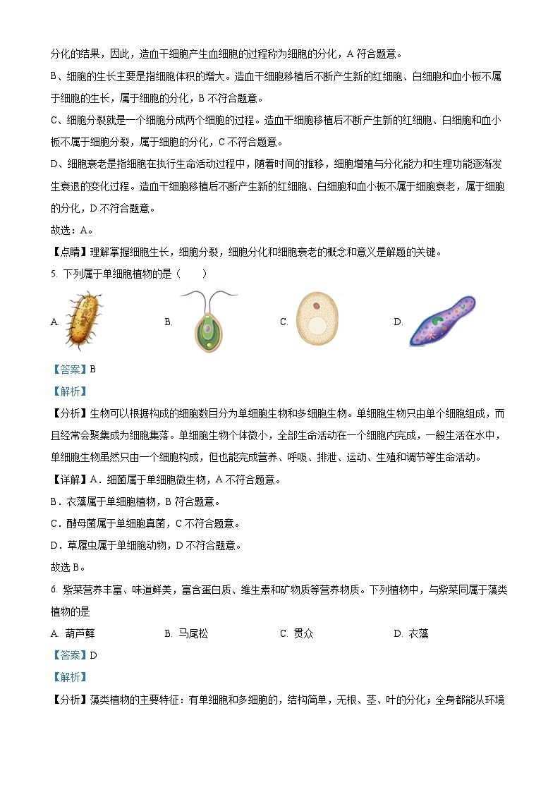 陕西省商洛市山阳县第二初级中学2023-2024学年七年级上学期第二次月考生物试卷03