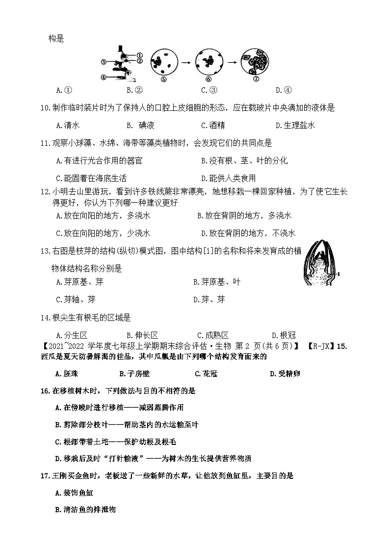 新疆巴楚县第三中学2022-2023学年七年级上学期期末生物试卷02