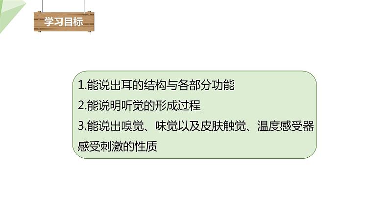 北师大版七年级生物下册课件 12.2 感受器和感觉器官 第2课时 课件第3页